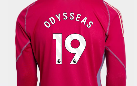 Newcastle United newcastle united adidas pink 2425 goalkeeper long sleeve shirt – 19 odysseas Collection - Football Kits & Footwear