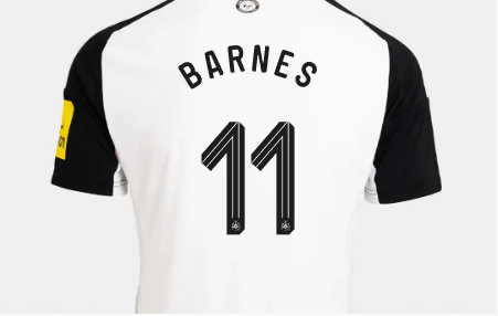 Newcastle United newcastle united adidas womens 2425 home shirt – 11 barnes Collection - Football Kits & Footwear